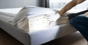 Bed Bugs Pest Control Service For Fate, TX: Your Shield Against Health Risks Bed Bugs Pest Control Service