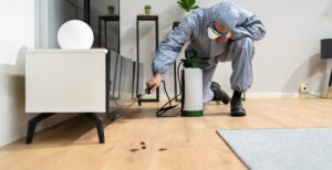 Essential Factors to Consider When Choosing the Best Company for Termite Control Best Company for Termite Control Fate TX