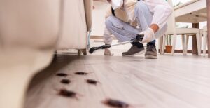 Get The Best Pest Control Services in Fate, TX for Property Protection Best Pest Control Services