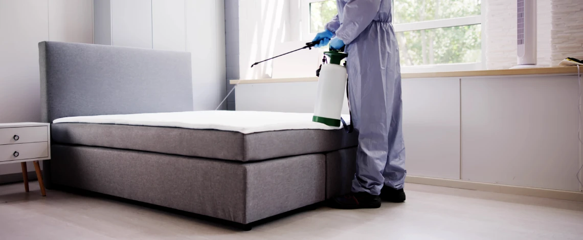 Bed bugs Pest Control Service Fate, TX