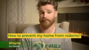 How To Prevent Rodents In My Home Rodent-proofing your home: Effective strategies for prevention