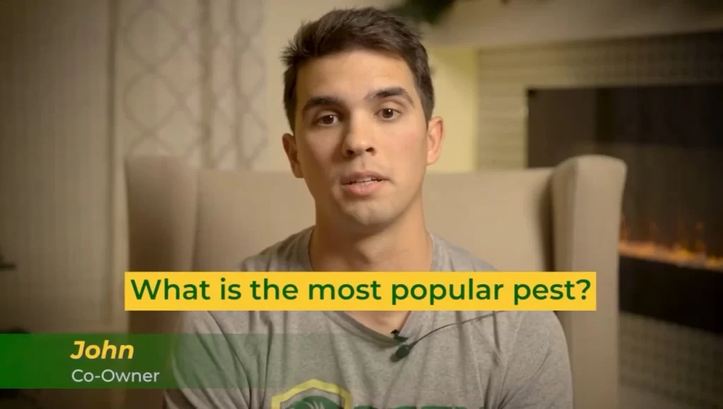 Exploring the top pest concerns: Identifying the most prevalent pest species