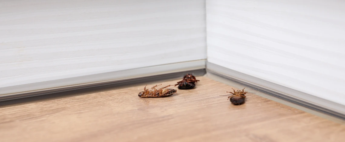 pest control experts