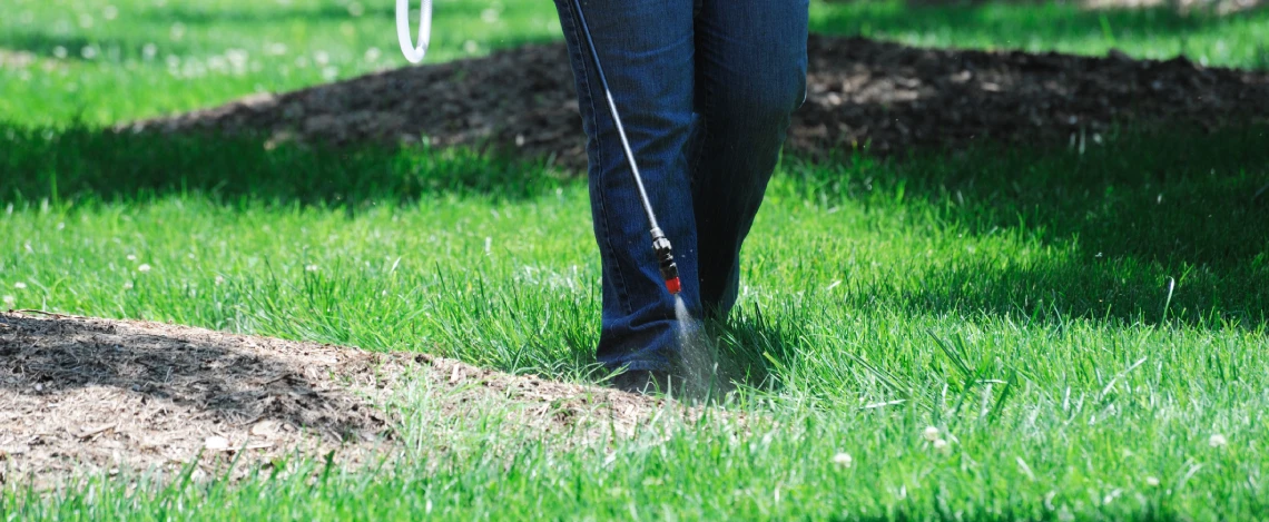 Professional Spring Lawn Pests Control in Fate, TX