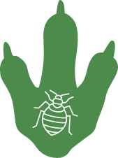 Bed Bug Control Service