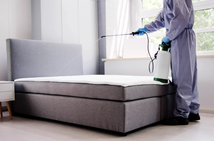 Effective bed bug treatment for Fate, TX homes