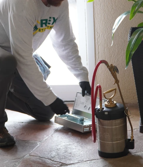 Expert pest control services in Rowlett, TX