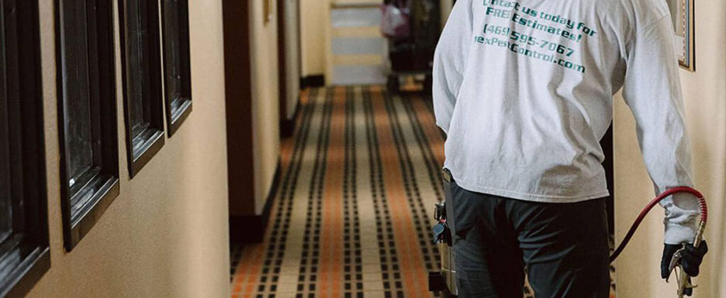 professional cockroach control during business renovations
