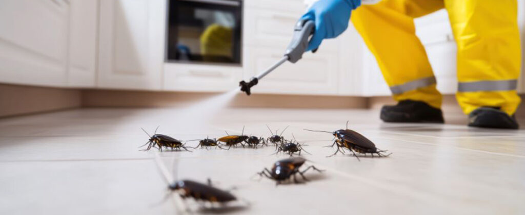 trusted cockroach control in Fate, TX