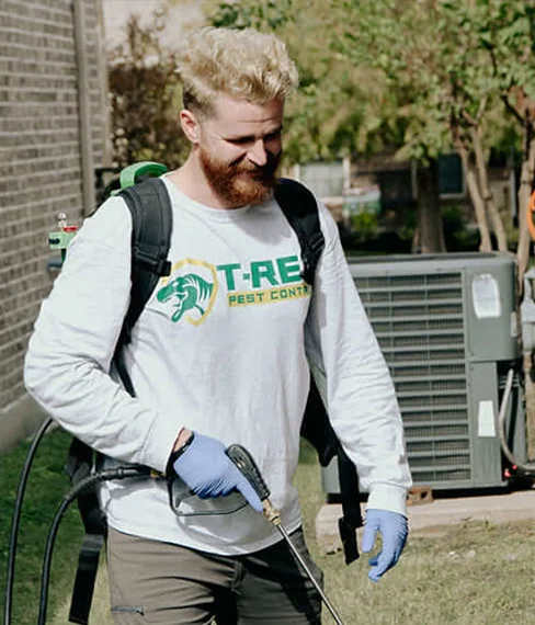 professional pest control services in Greenville, TX