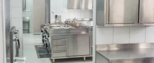 Top 5 Pests That Threaten Texas Restaurants in Late Summer pest control services restaurant kitchen