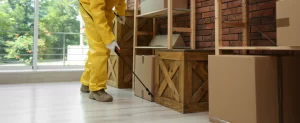 How Often Should Texas Businesses Get Professional Pest Inspections? how often should texas businesses get professional pest inspections