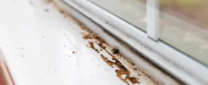 The Most Common Termite Entry Points in Texas Homes (And How to Seal Them) common termite entry points in texas homes