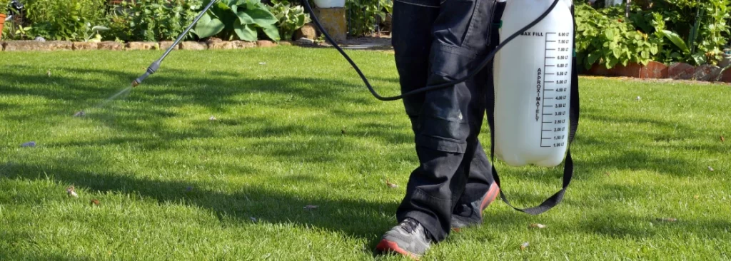 how often should you get pest control north texas