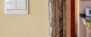 How Much Termite Damage Costs Texas Homeowners in 2026 termite damage costs texas homeowners